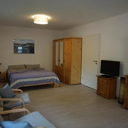 Apartment Am Neckarsteig Mit Anbindung An Heidelberg Neckarsteinach