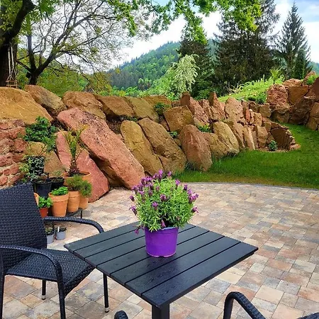 Am Neckarsteig Mit Anbindung An Heidelberg Apartment Neckarsteinach